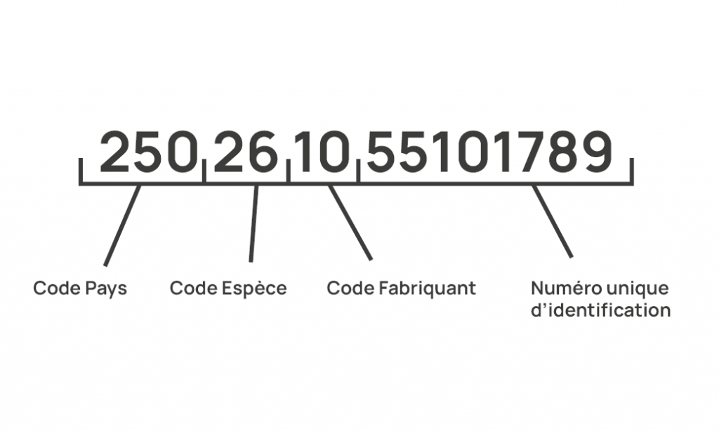Image d'un numéro d'identification d'un animal