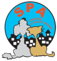 SPA87
